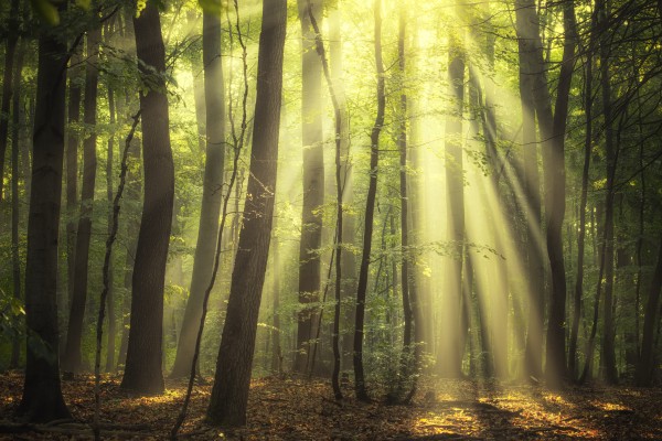 When the sun touch your heart by Janek Sedlar